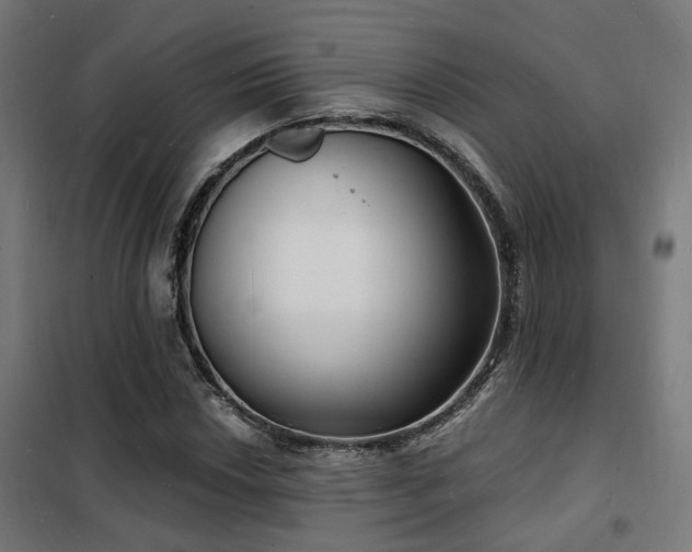 X0000102221018200807251206