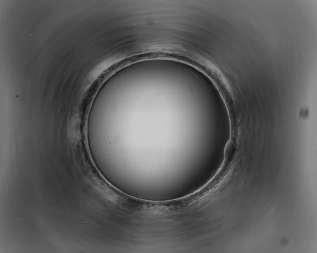 X0000102221019200807251206