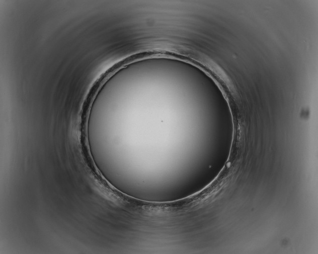 X0000102221020200807251206