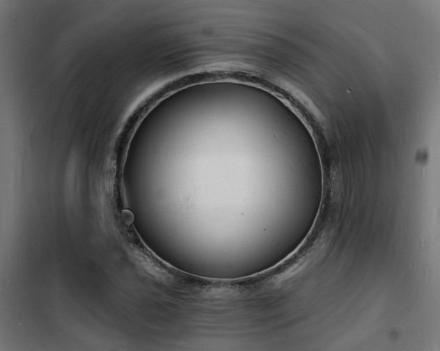 X0000102221021200807251206