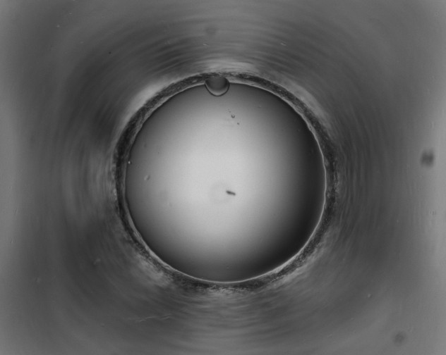 X0000102221022200807251206