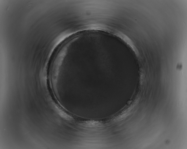 X0000102221024200807251206