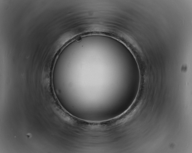 X0000102221025200807251206