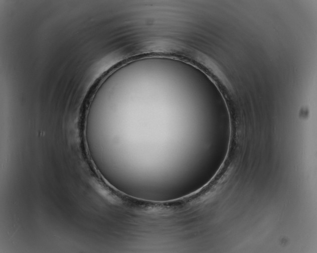 X0000102221026200807251206