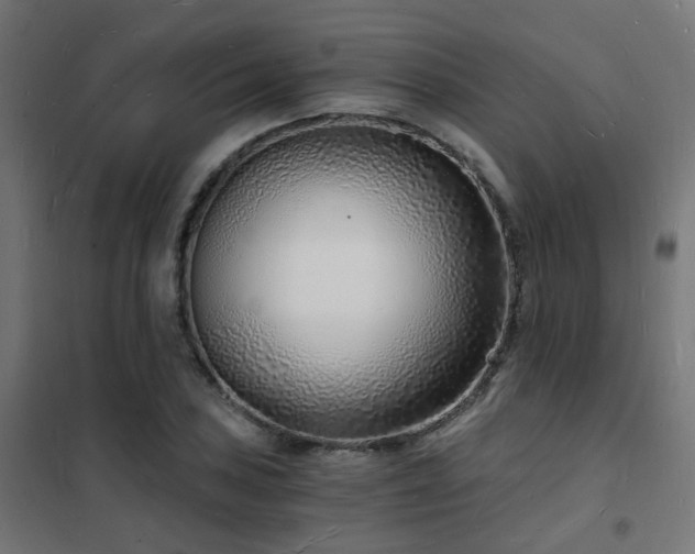 X0000102221027200807251206