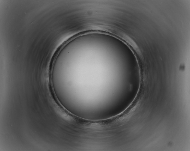 X0000102221028200807251206
