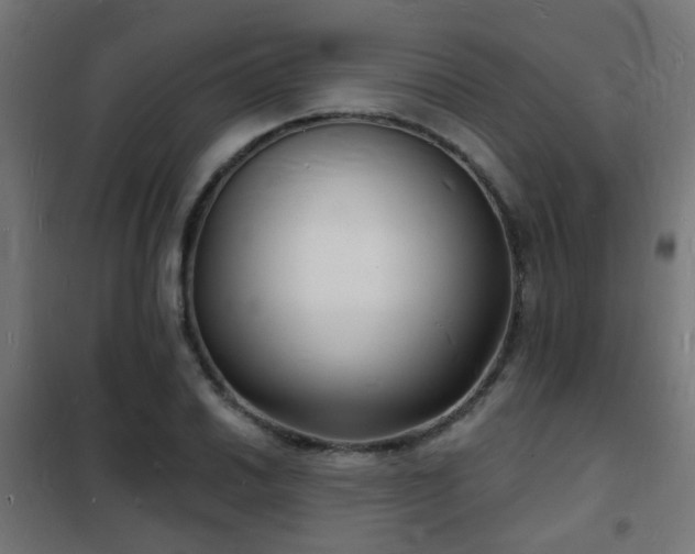 X0000102221030200807251206