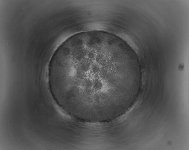 X0000102221031200807251206