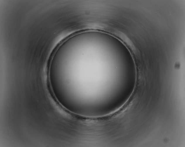 X0000102221032200807251206