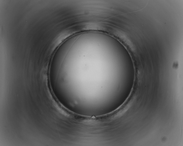 X0000102221033200807251206