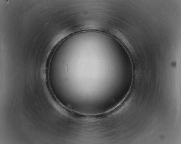 X0000102221034200807251206