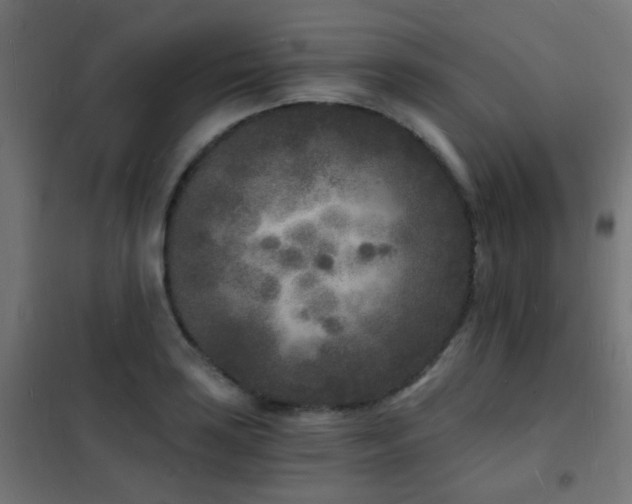 X0000102221035200807251206