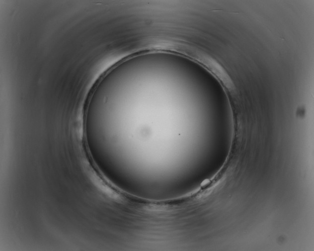 X0000102221036200807251206