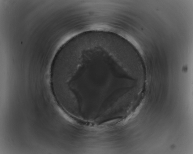 X0000102221037200807251206