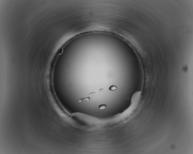 X0000102221038200807251206