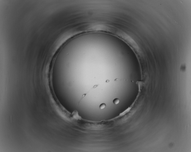 X0000102221039200807251206