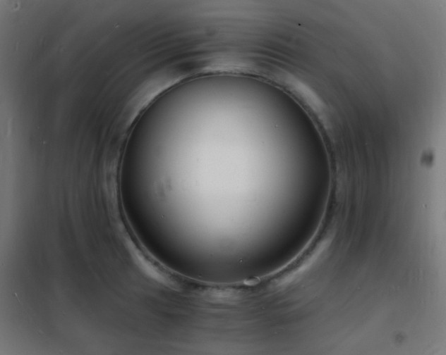 X0000102221041200807251206