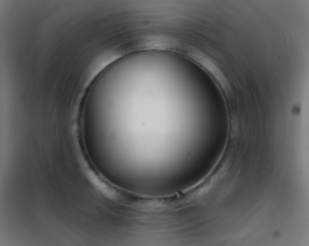 X0000102221042200807251206