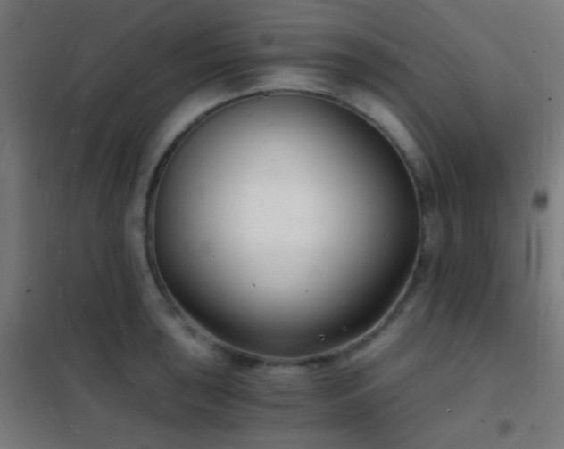 X0000102221043200807251206