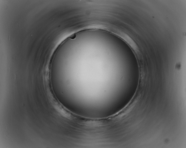 X0000102221044200807251206