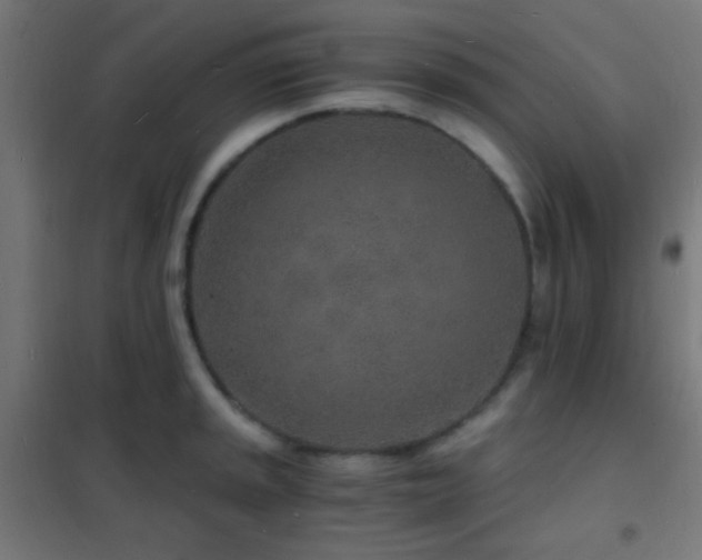 X0000102221045200807251206