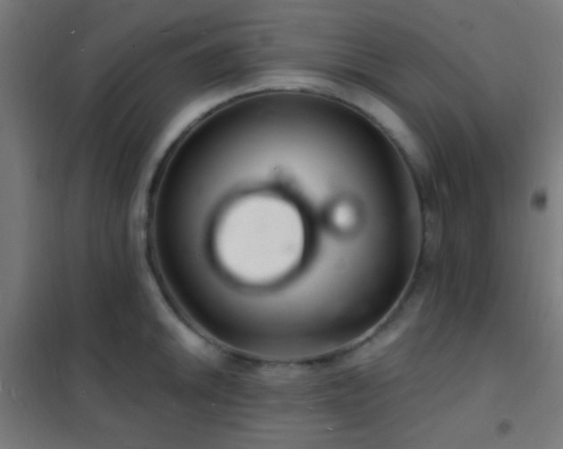 X0000102221046200807251206