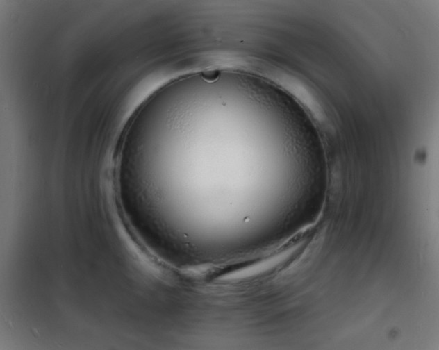 X0000102221047200807251206