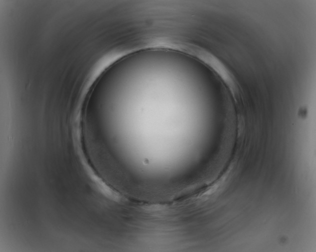 X0000102221048200807251206