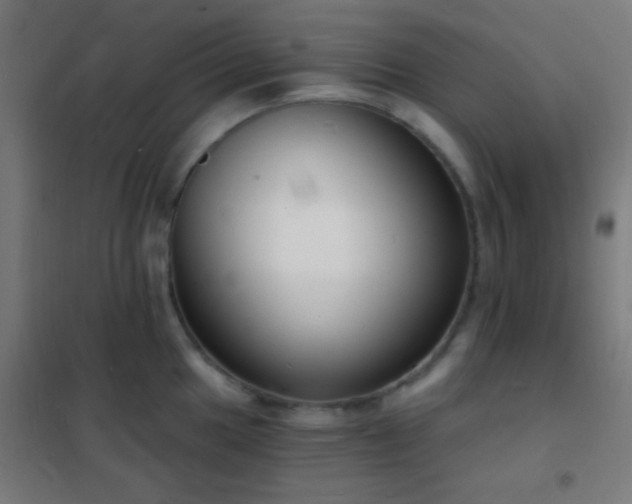 X0000102221049200807251206