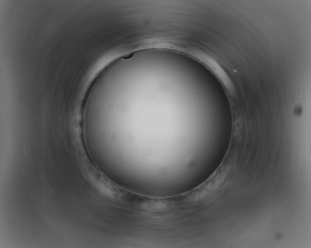 X0000102221051200807251206