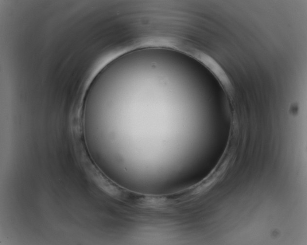 X0000102221052200807251206