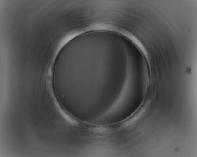 X0000102221053200807251206