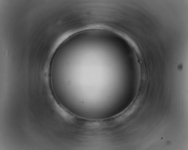 X0000102221054200807251206