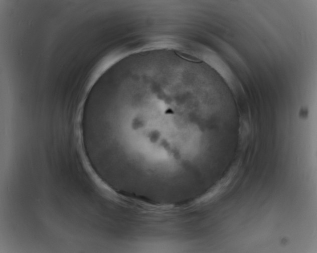 X0000102221055200807251206