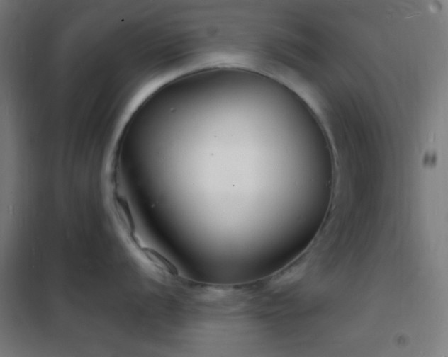 X0000102221056200807251206