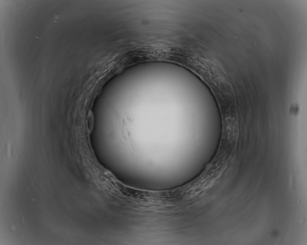 X0000102221057200807251205