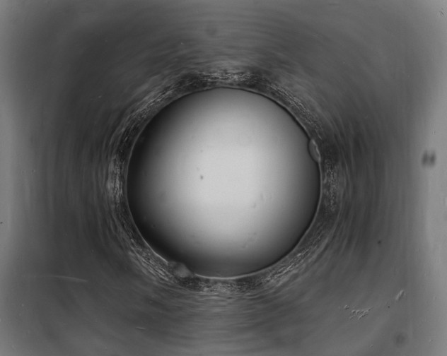 X0000102221058200807251205