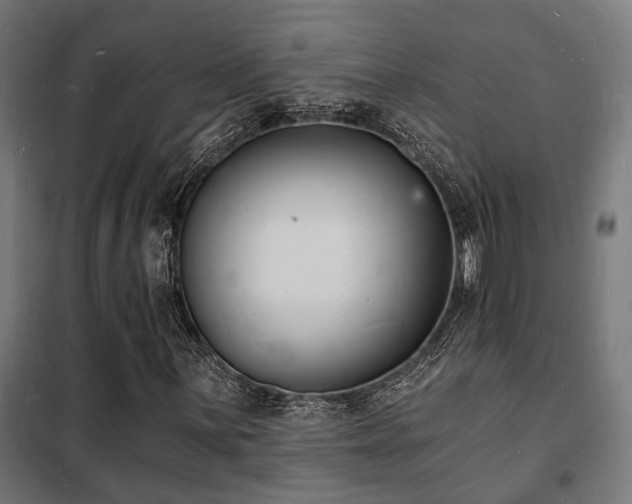 X0000102221059200807251205