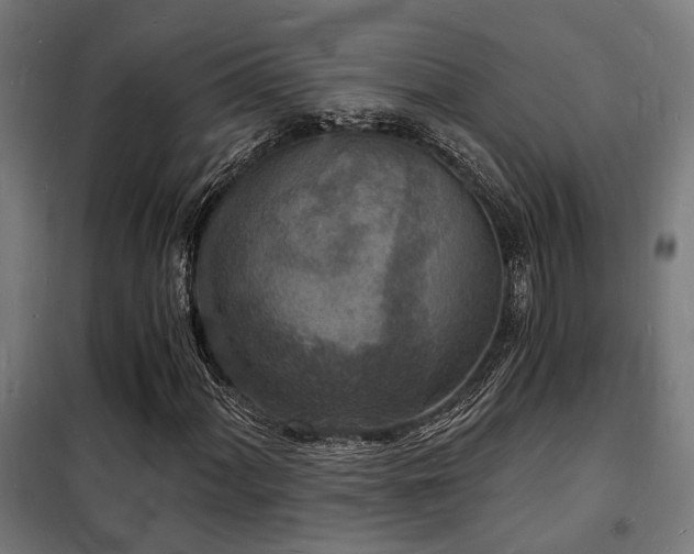 X0000102221060200807251205