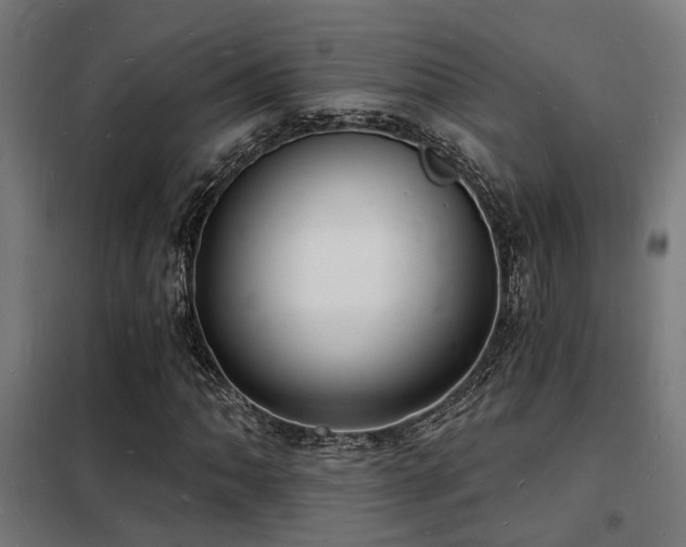 X0000102221062200807251205