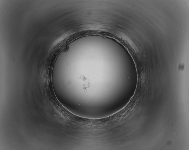 X0000102221064200807251205