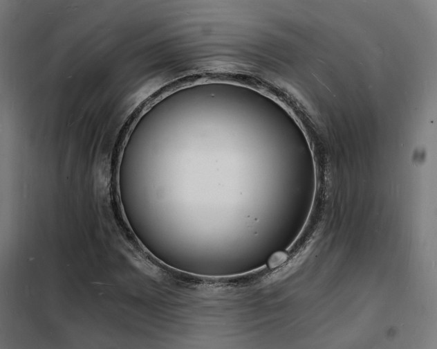 X0000102221065200807251205