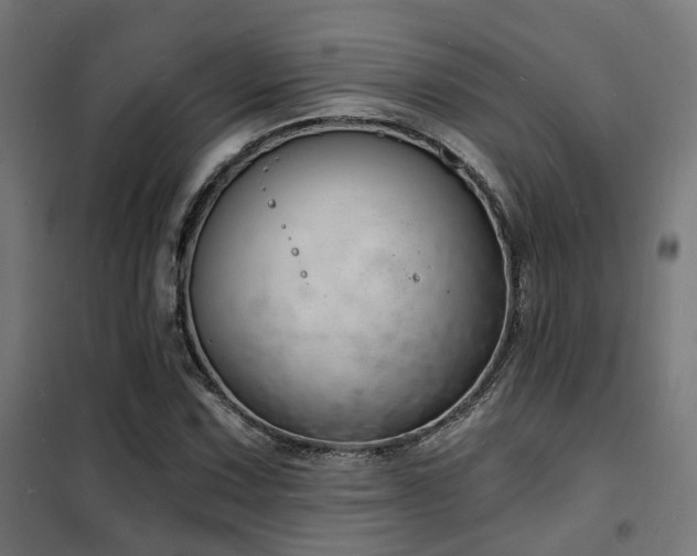 X0000102221067200807251205