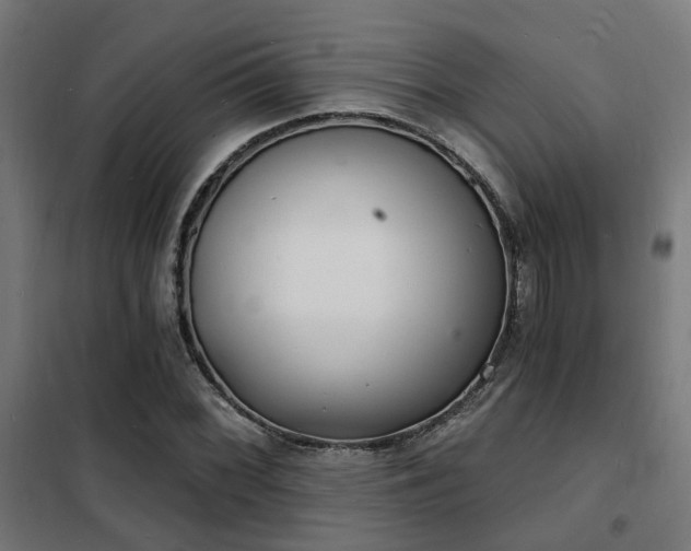 X0000102221068200807251205