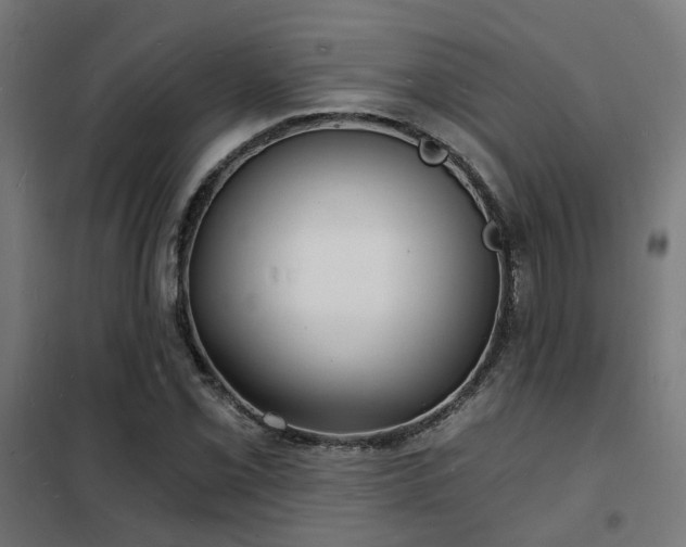 X0000102221069200807251205