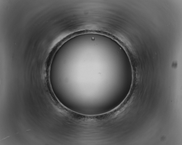 X0000102221070200807251205