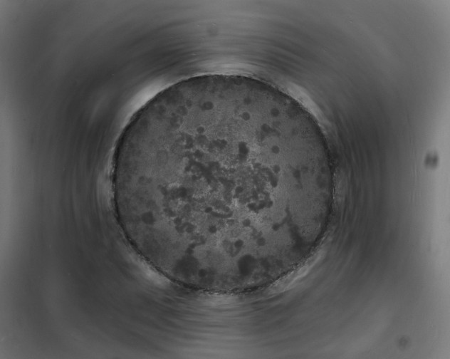 X0000102221071200807251205