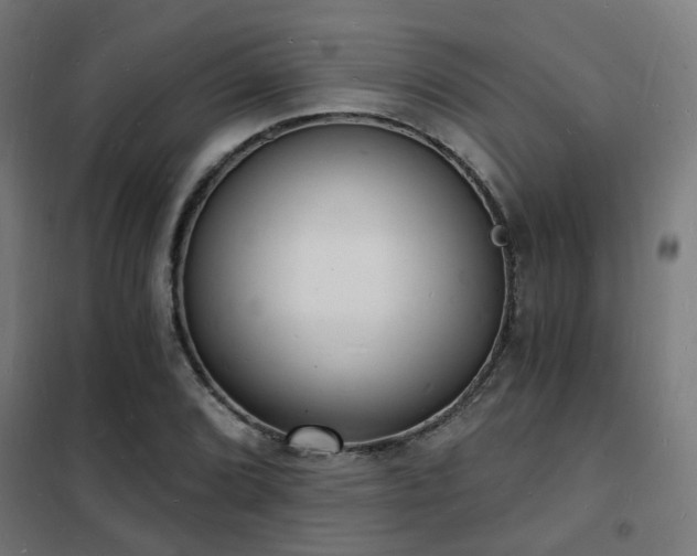 X0000102221072200807251205