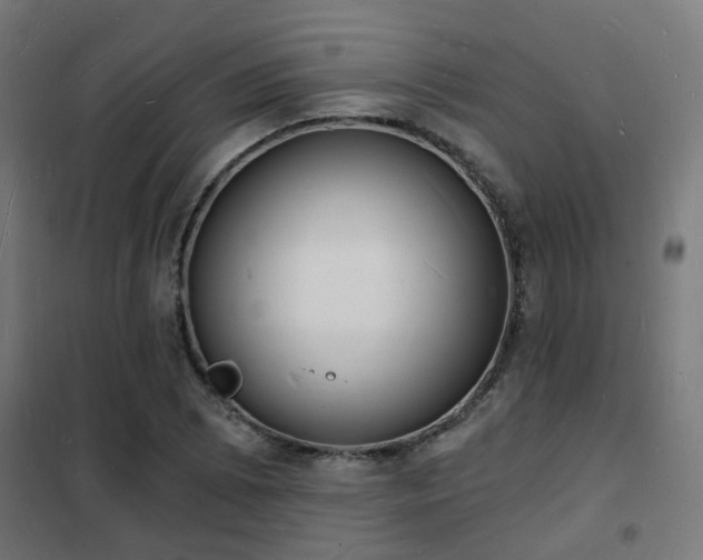 X0000102221073200807251205