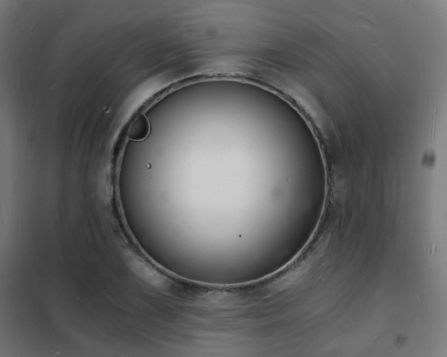 X0000102221075200807251205